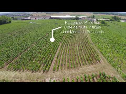 Découvrez le domaine