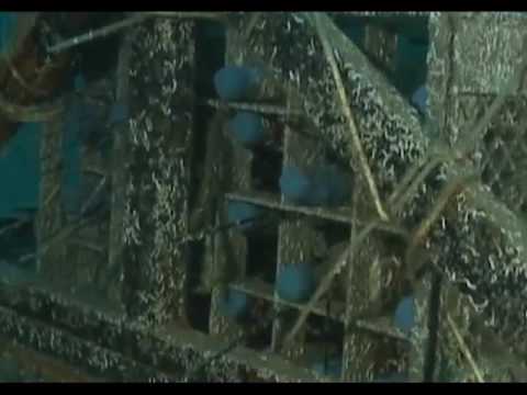 Champagne "H60" Domaine André Heucq Immersion 2022