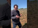 Quelques mots du vigneron
