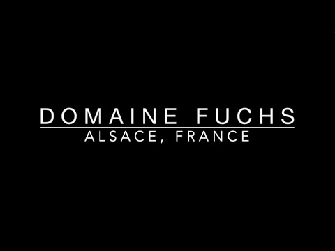 Découvrez le domaine