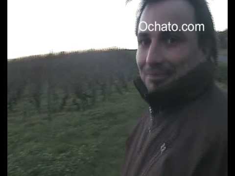 Quelques mots du vigneron