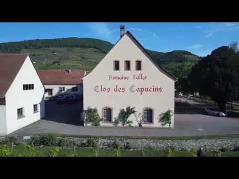 Découvrez le domaine
