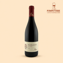 bourgogne rouge pinot noir olivier merlin 2023.webp