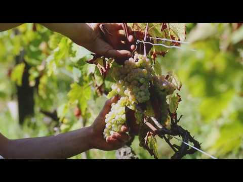 Découverte du domaine