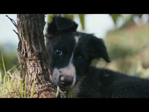 3 minutes avec Christrophe Bonnefond