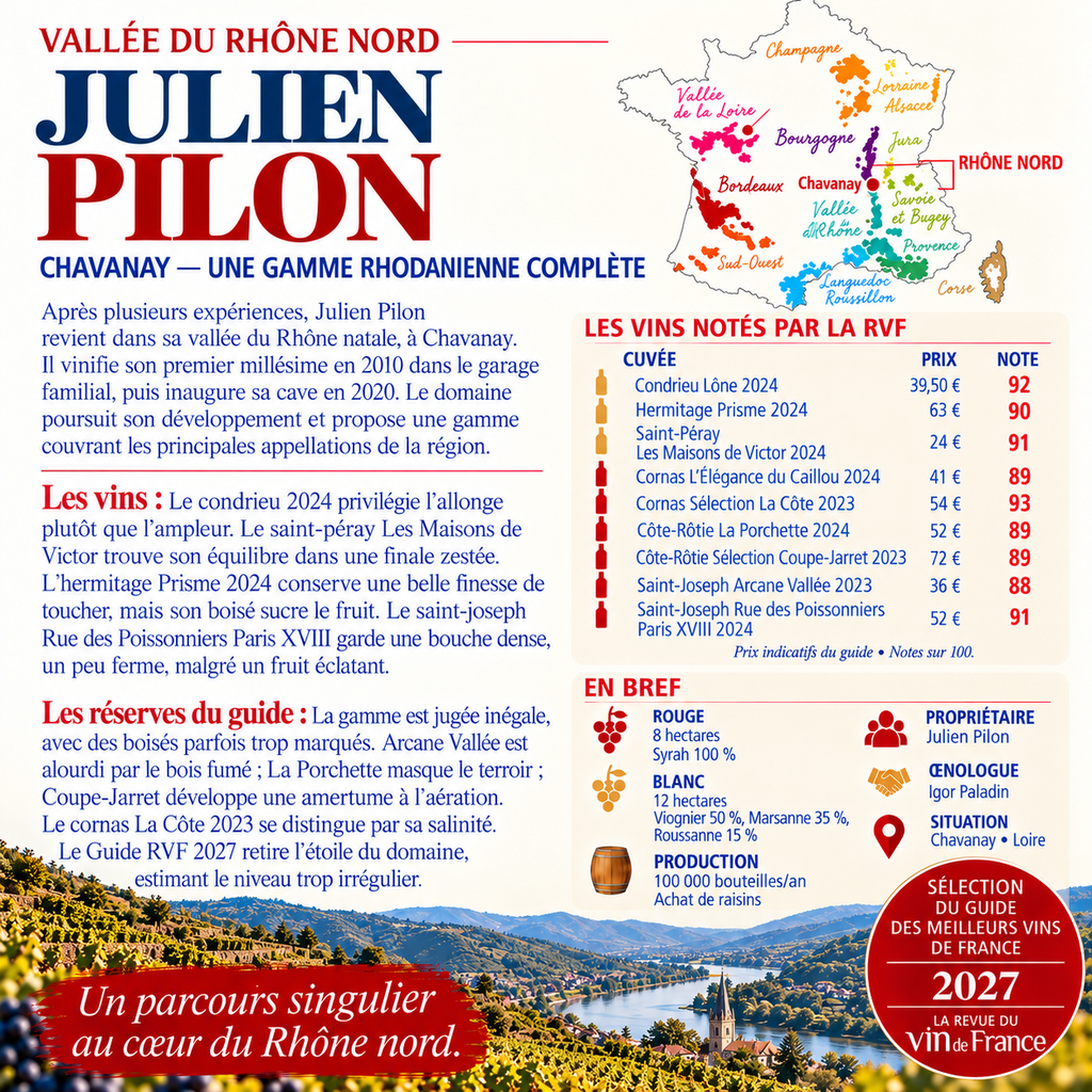 Julien Pilon, vins du Rhône nord.webp
