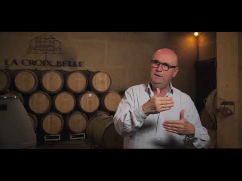 Découverte du domaine