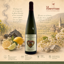Alsace Grand Cru "Kirchberg Riesling" Henry Fuchs 2021
