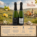 Montlouis-sur-Loire "Methode Traditionnelle Extra Brut" Damien Moyer N.M