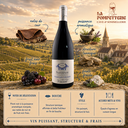 Santenay "Vieilles Vignes" J.M Vincent 2021