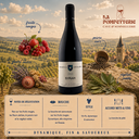 VDF Syrah J.B Souillard 2022