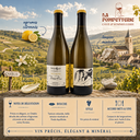 Chablis "Vent d'Ange Mise Tardive" Domaine Pattes Loup 2022