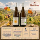 Coteaux champenois Domaine André Heucq 2020 (Vin Orange)