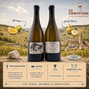 Chablis 1er Cru "Les Butteaux, Mise Tardive" Domaine Pattes Loup 2020