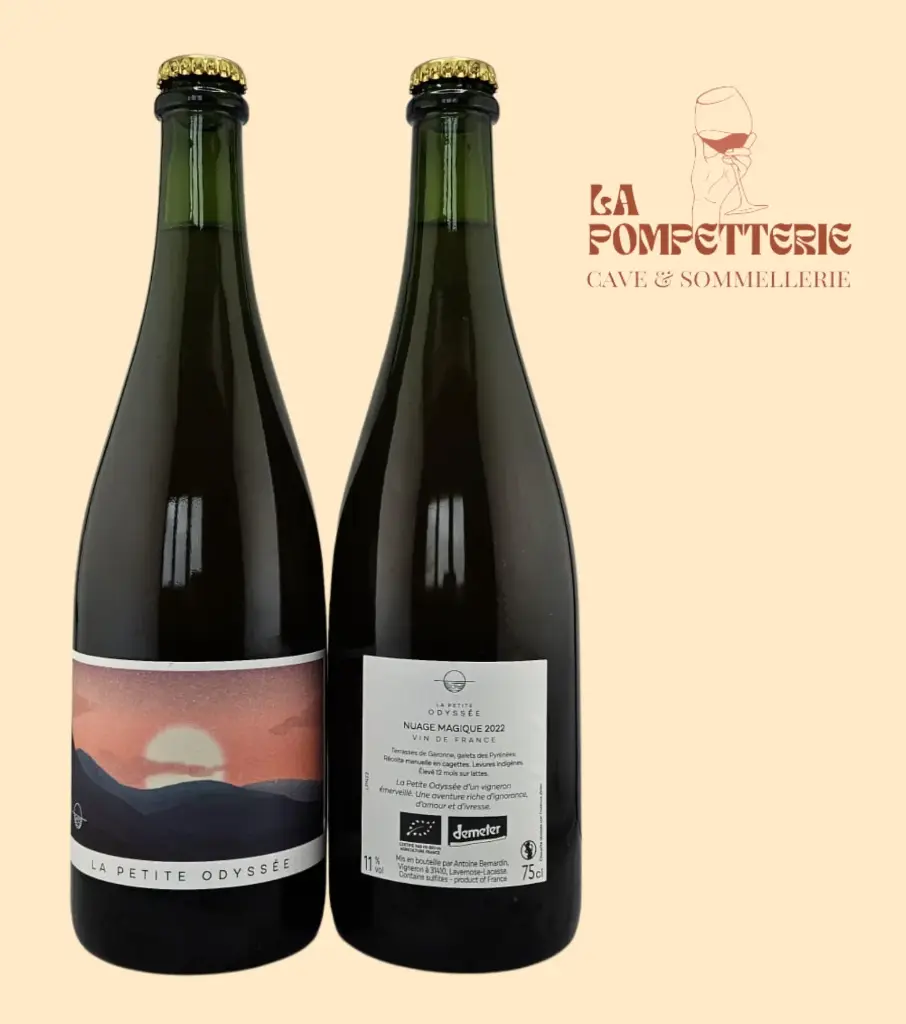 VDF "Nuage Magique" La Petit Odyssée 2022 (pet nat)