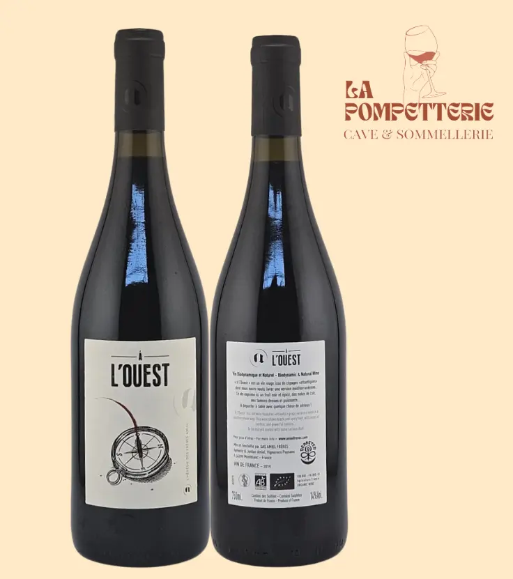 VDF "à l'Ouest" Domaine des Amiels 2019 