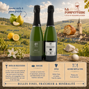 Montlouis-sur-Loire "Methode Traditionnelle Brut" Damien Moyer N.M