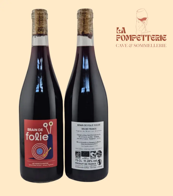 VDF "Brain de Folie, Grolleau" Les Vignes du Mortier 2023