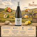 Santenay "Les Potets" J.M Vincent 2023