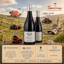Santenay "Gravité" J.M Vincent 2022