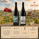 Saint-Nicolas-de-Bourgueil "Les Pins" Domaine du Mortier 2023