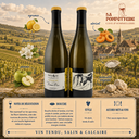 Chablis "Vent d'Ange" Domaine Pattes Loup 2022