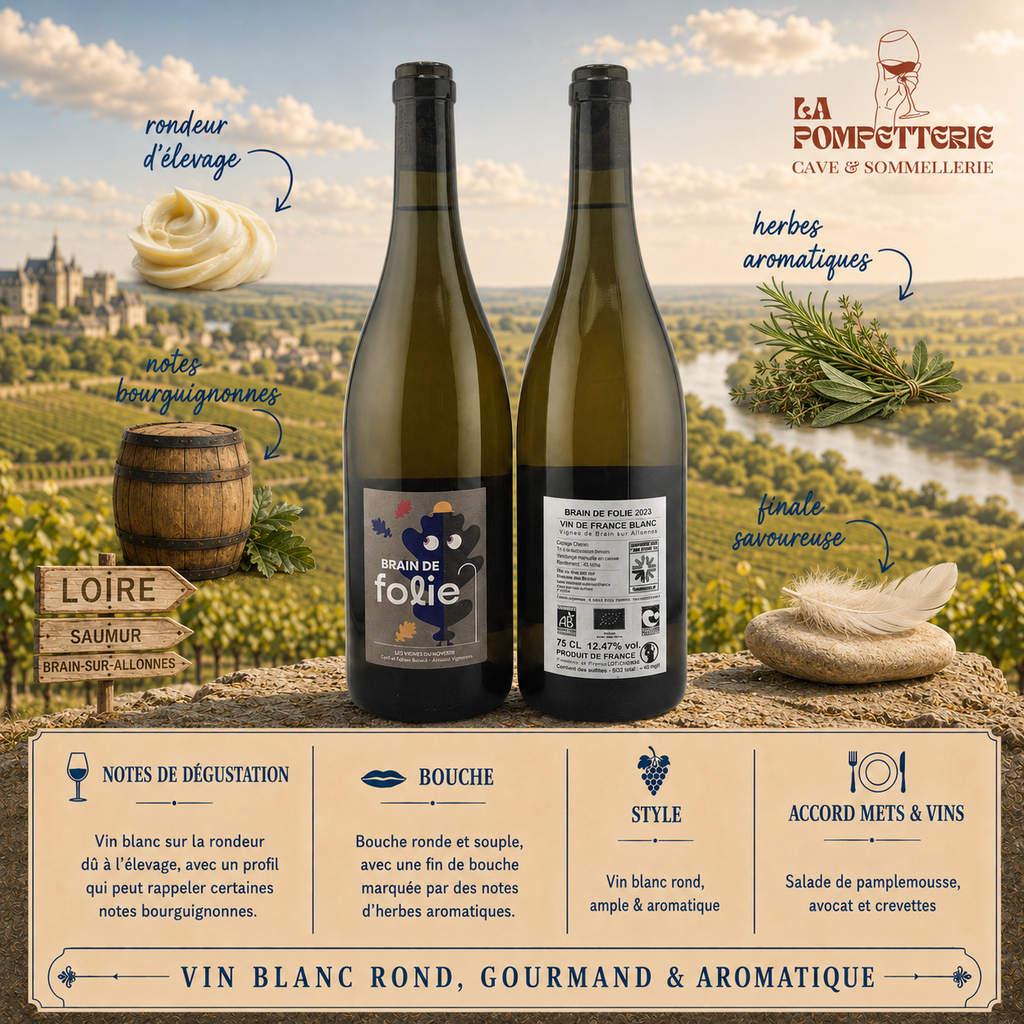 VDF "Brain de Folie, Chenin en Barrique" Les Vignes du Mortier 2023