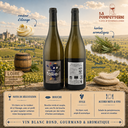 VDF "Brain de Folie, Chenin en Barrique" Les Vignes du Mortier 2023