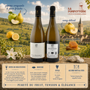 Montlouis-sur-loire "A la Source" Damien moyer 2025