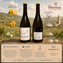 Coteaux Champenois "Blanc" Ruppert-Leroy 2019