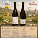 Coteaux Champenois "Blanc" Ruppert-Leroy 2019