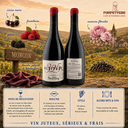 Morgon "Altitude 325" Domaine Striffling 2021