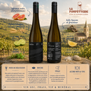 Alsace "Riesling" Domaine Achillée 2024