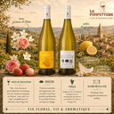 Méditérannée blanc "Choupissons" Château la Sable 2025