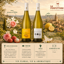 Méditérannée blanc "Choupissons" Château la Sable 2025