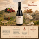 Chinon rouge "La Roche Bobreau" Domaine du Frère 2021