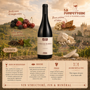 Chinon rouge "La Roche Bobreau" Domaine du Frère 2021