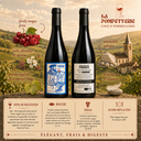Chinon rouge "Les Pucelles" Domaine du Frère 2023