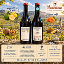 Arbois "Trousseau en Amphore" Domaine Tissot 2024