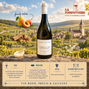 Chablis "1er Cru Les Fourneaux Ante MCMLXXX, vieilles vignes" Domaine Charly Nicolle 2023