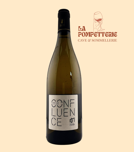 [31001] Montlouis-sur-Loire "Confluence" Damien Moyer 2022